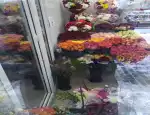Магазин цветов Цветы от Цветовой фото - доставка цветов и букетов