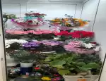 Магазин цветов Цветы от Ирины фото - доставка цветов и букетов