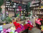 Магазин цветов #ЦветыБосс фото - доставка цветов и букетов
