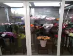 Магазин цветов Desert rose фото - доставка цветов и букетов