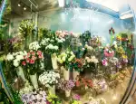 Магазин цветов Elen фото - доставка цветов и букетов