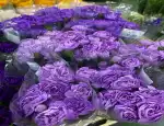 Магазин цветов ЕвроФлор фото - доставка цветов и букетов