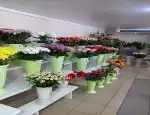 Магазин цветов Favorite flower фото - доставка цветов и букетов