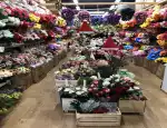 Магазин цветов Фиалка78 фото - доставка цветов и букетов