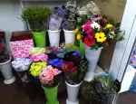 Магазин цветов Фито-колор фото - доставка цветов и букетов