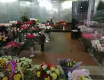 Магазин цветов Флора Альянс фото - доставка цветов и букетов