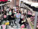 Магазин цветов Flora delivery фото - доставка цветов и букетов