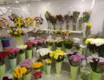 Магазин цветов Flora pro фото - доставка цветов и букетов
