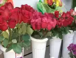 Магазин цветов Флора фото - доставка цветов и букетов