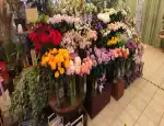 Магазин цветов Флорэра фото - доставка цветов и букетов