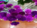 Магазин цветов Flowerpatio178 фото - доставка цветов и букетов