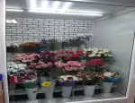 Магазин цветов Flowers star фото - доставка цветов и букетов