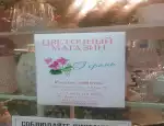 Магазин цветов Герань фото - доставка цветов и букетов