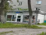 Магазин цветов Городские цветы фото - доставка цветов и букетов