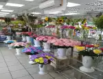 Магазин цветов Ирис фото - доставка цветов и букетов