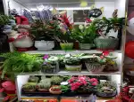 Магазин цветов Ispanka фото - доставка цветов и букетов