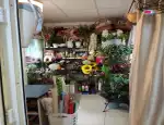 Магазин цветов Июнь фото - доставка цветов и букетов