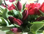Магазин цветов Клевер фото - доставка цветов и букетов