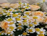Магазин цветов Lantana flo фото - доставка цветов и букетов
