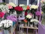Магазин цветов Lavanda фото - доставка цветов и букетов