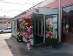 Магазин цветов Лилия фото - доставка цветов и букетов