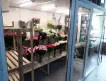 Магазин цветов Lycoris фото - доставка цветов и букетов