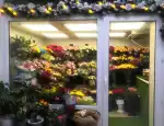 Магазин цветов Магазин цветов, подарков и шаров фото - доставка цветов и букетов
