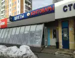 Магазин цветов Магазин цветов фото - доставка цветов и букетов