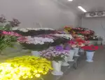 Магазин цветов Магазин цветов фото - доставка цветов и букетов