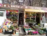 Магазин цветов Магазин для сада и огорода фото - доставка цветов и букетов
