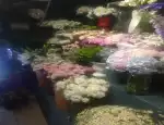 Магазин цветов Мастерская букетов фото - доставка цветов и букетов