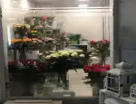 Магазин цветов Mio florist фото - доставка цветов и букетов