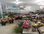 Магазин цветов Monamie фото - доставка цветов и букетов