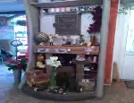 Магазин цветов Murava flowers фото - доставка цветов и букетов