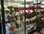 Магазин цветов ОАЗИС фото - доставка цветов и букетов