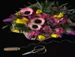 Магазин цветов Organica фото - доставка цветов и букетов