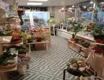 Магазин цветов Палитра цветов фото - доставка цветов и букетов