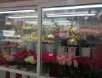 Магазин цветов Процветание фото - доставка цветов и букетов