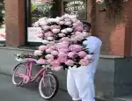 Магазин цветов Protea фото - доставка цветов и букетов
