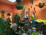 Магазин цветов Райский уголок фото - доставка цветов и букетов