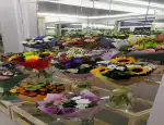 Магазин цветов Разноцвет фото - доставка цветов и букетов