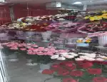 Магазин цветов Red flowers фото - доставка цветов и букетов