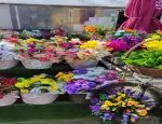 Магазин цветов Ритуал фото - доставка цветов и букетов