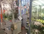 Магазин цветов Rmariflowers фото - доставка цветов и букетов
