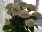 Магазин цветов Rosa-present фото - доставка цветов и букетов