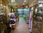 Магазин цветов Сад-огород фото - доставка цветов и букетов