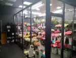 Магазин цветов Sakura фото - доставка цветов и букетов