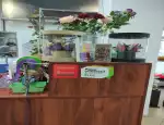 Магазин цветов Санрайз фото - доставка цветов и букетов