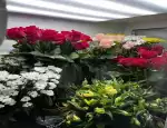 Магазин цветов Счастливый цветочник фото - доставка цветов и букетов