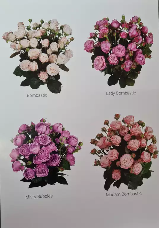 Магазин цветов Select-Flowers фото - доставка цветов и букетов